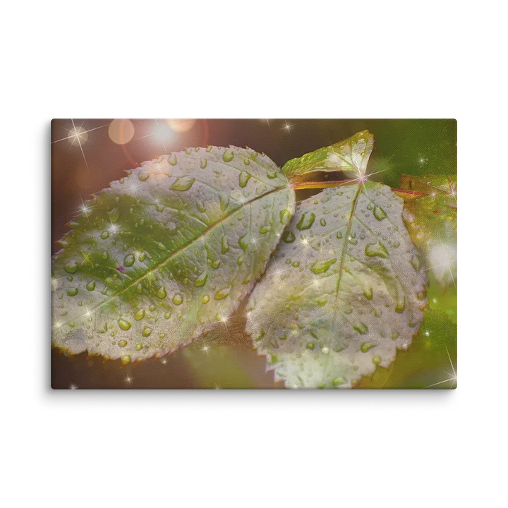 Canvas: Rose leaves during rainy day (DA) product image (6)