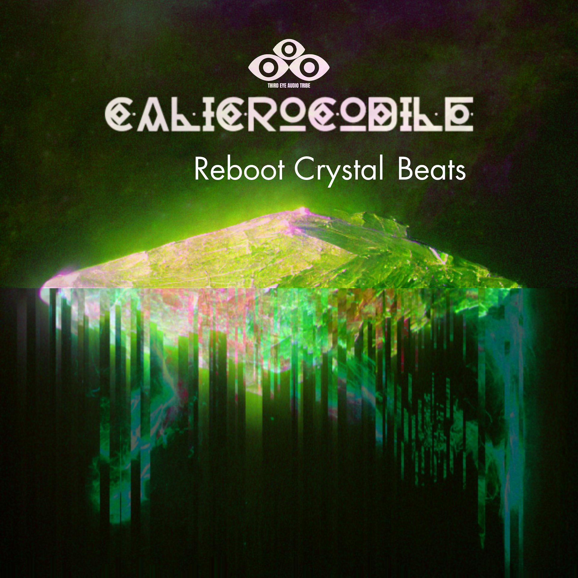 The Reboot Crystal Project + 2023 [FULL YEAR BUNDLE] product image (2)