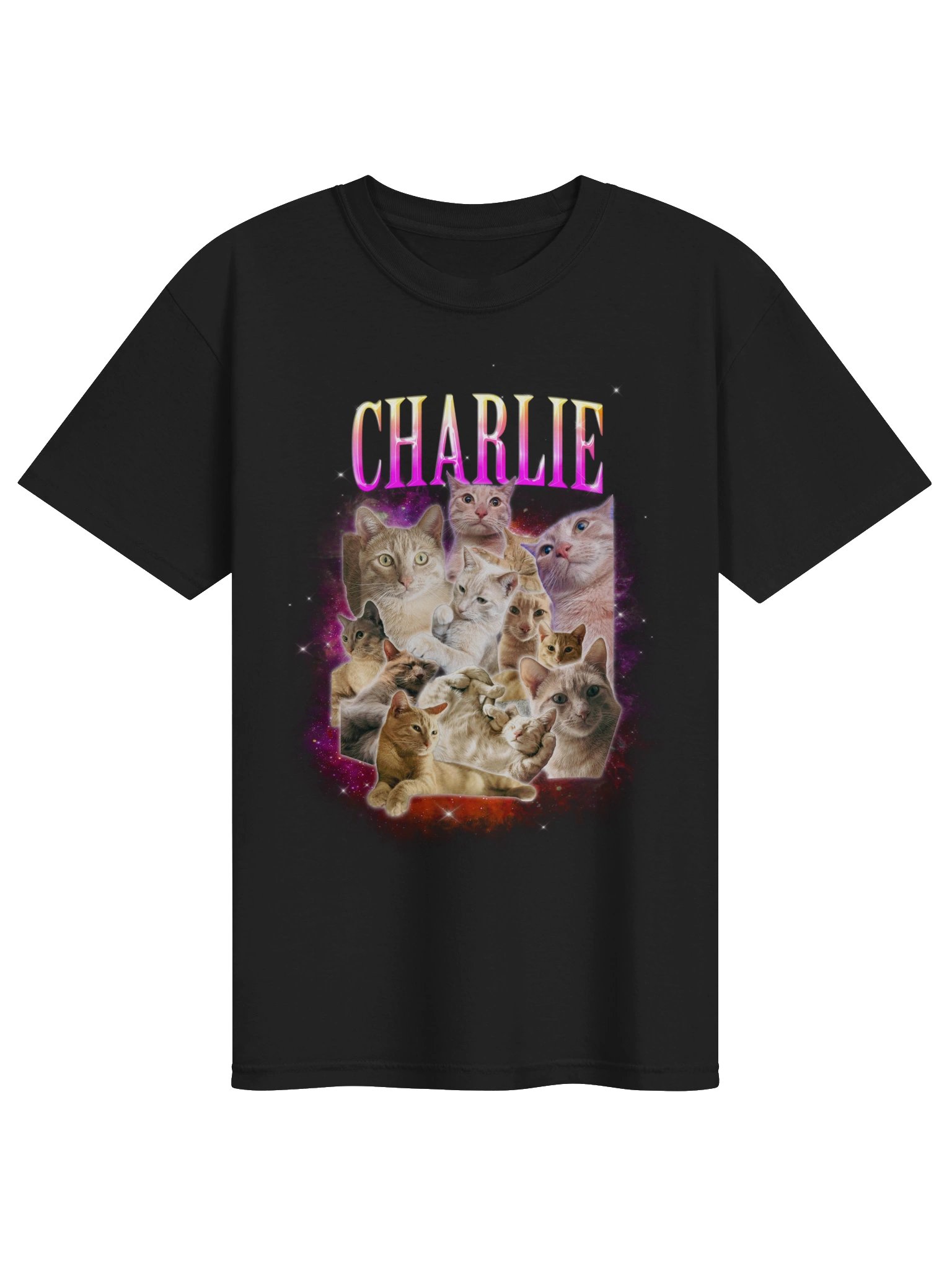 little man tee product image (1)