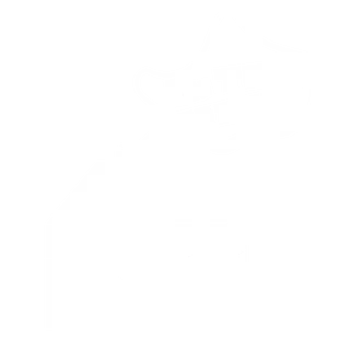 AVintheHouse