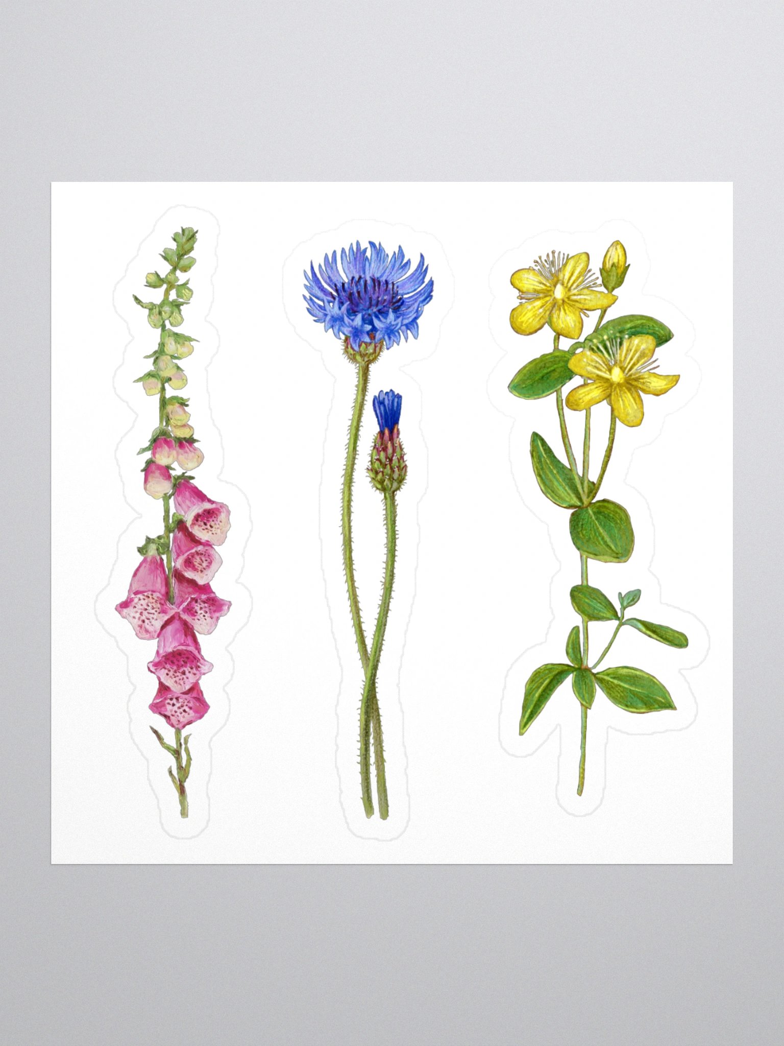 Botanical illustrations stickers product image (3)
