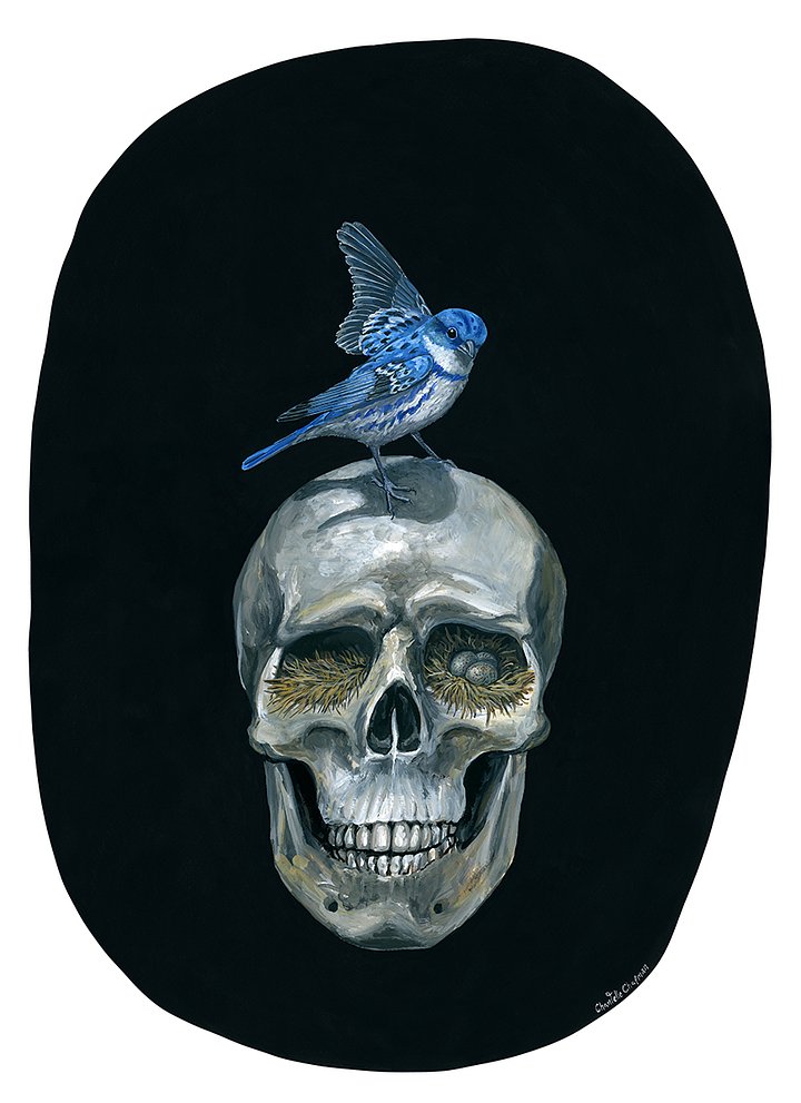 The Meek (Cerulean Warbler) - Art Print product image (1)