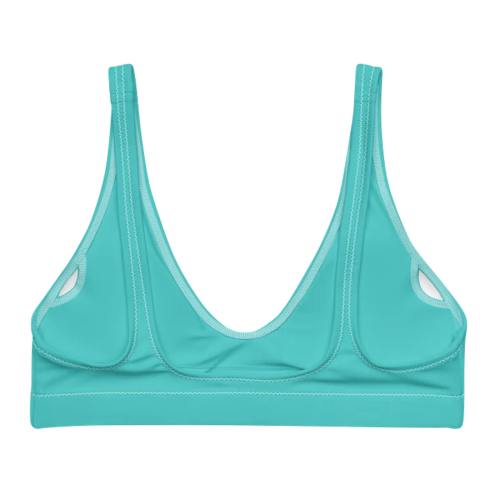 Bikini Top product image (2)