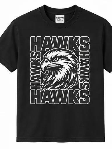 Hawks Squared Gildan Blend T-shirt product image (1)