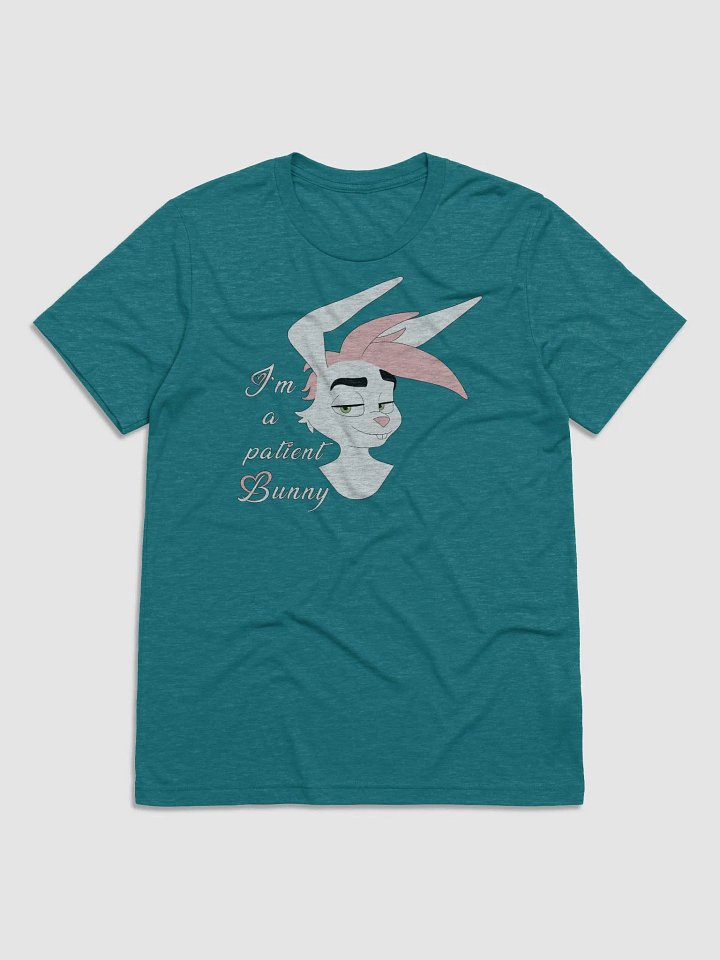 Oliver | Triblend T-shirt | Quote #1 product image (2)