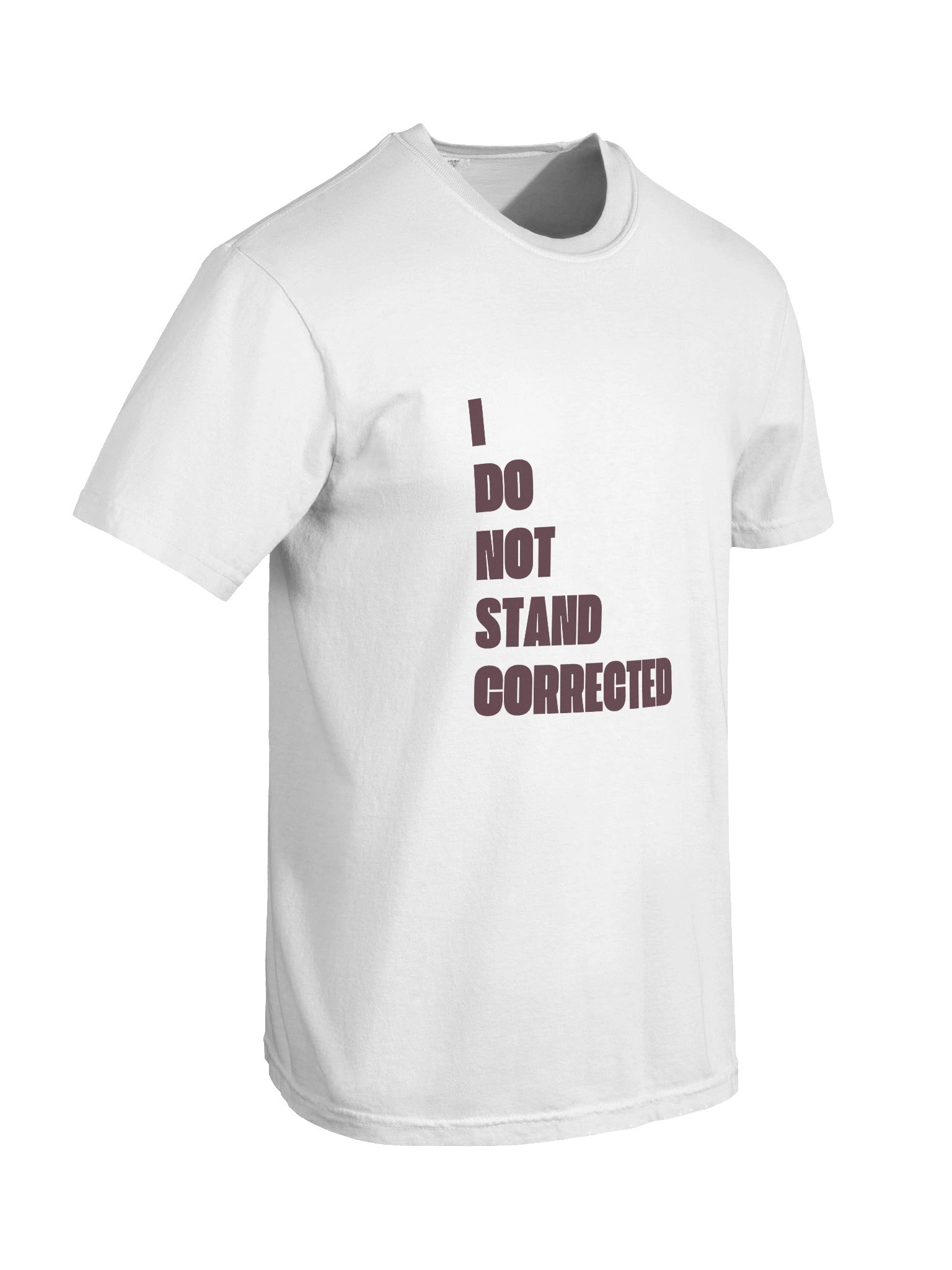 I DO NOT STAND CORRECTED product image (6)