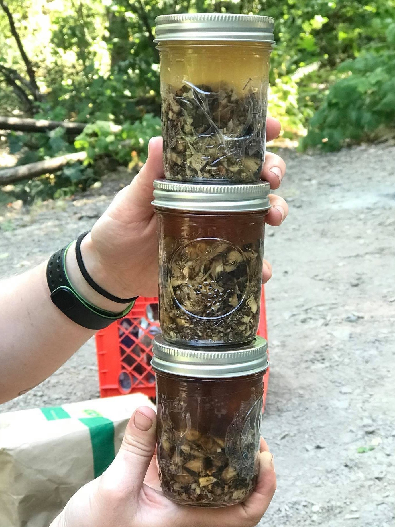 2026 Herbal Concepts: Full Tuition for Spring Term product image (1)