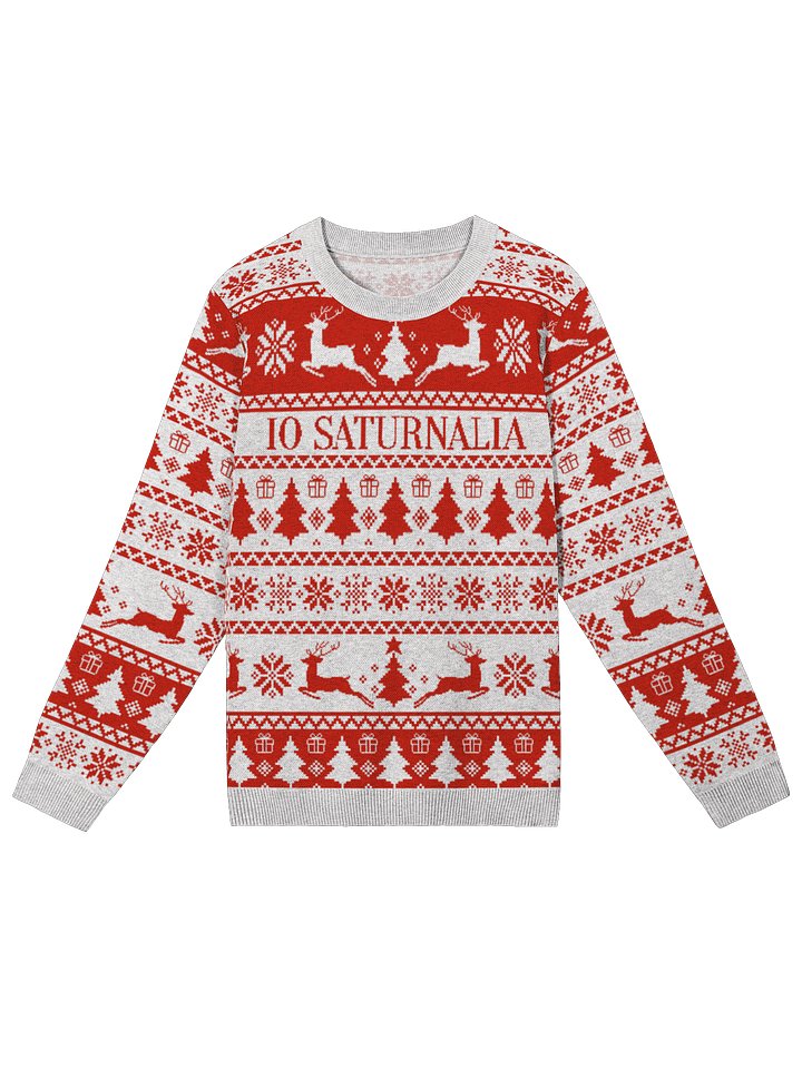 Io Saturnalia Sweater product image (2)