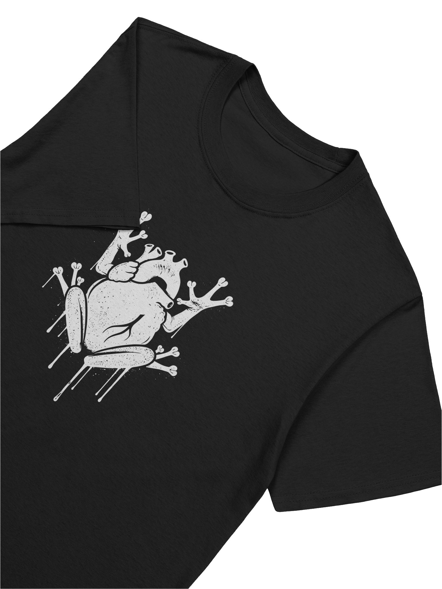 Canto de Corazón product image (2)