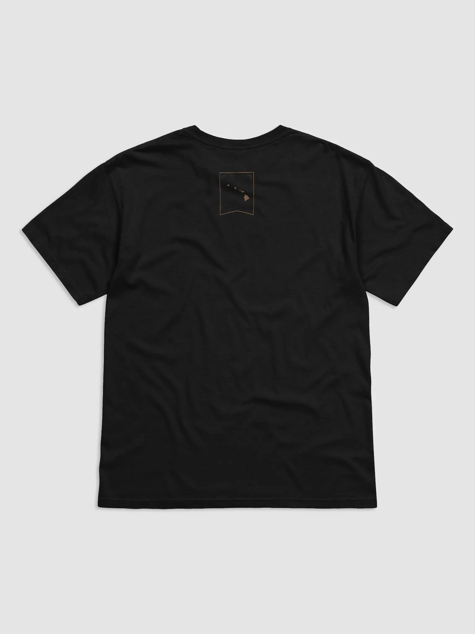 21.157 Vintage (Light Graphic) Shirt product image (2)