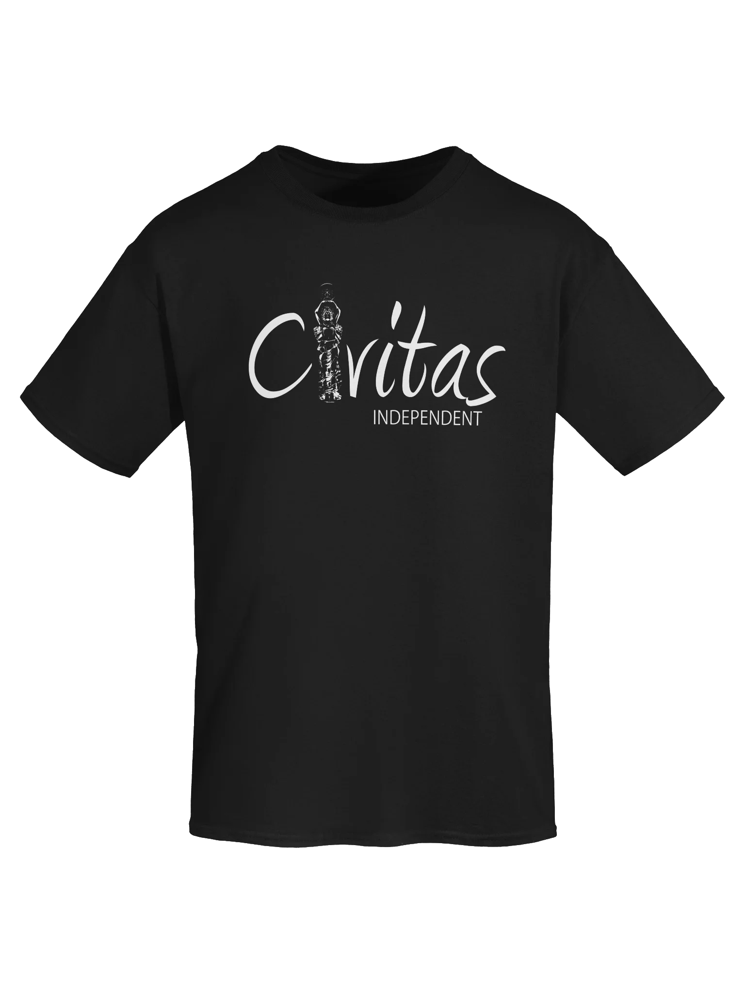 Logo T-Shirt (White Logo) product image (5)