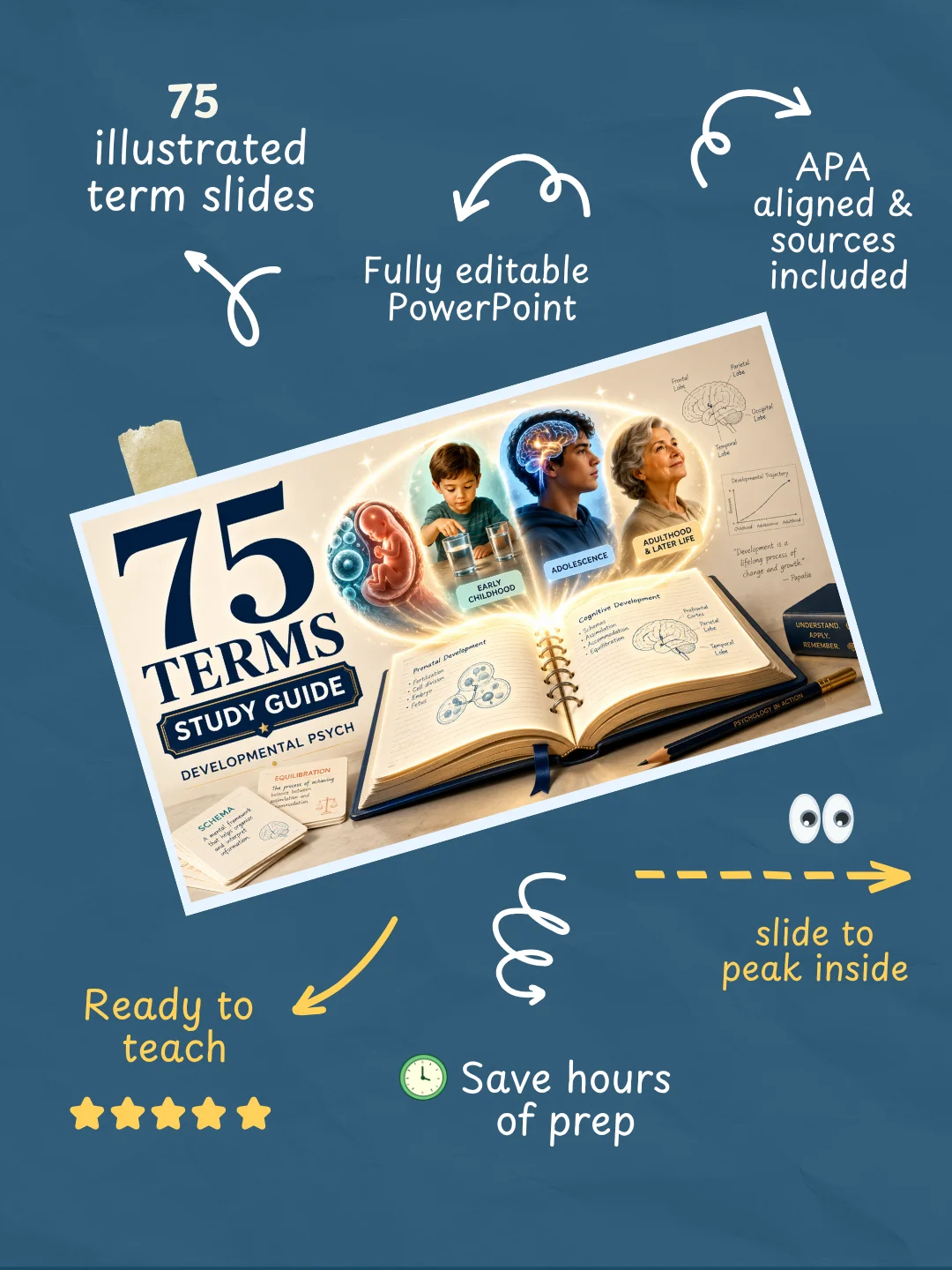 75 Developmental Psychology Terms | Editable PowerPoint for Teachers & Creators product image (2)