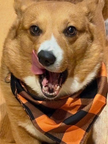 ITS WEEN 😬🎃🎃🎃🎃🎃🎃🎃