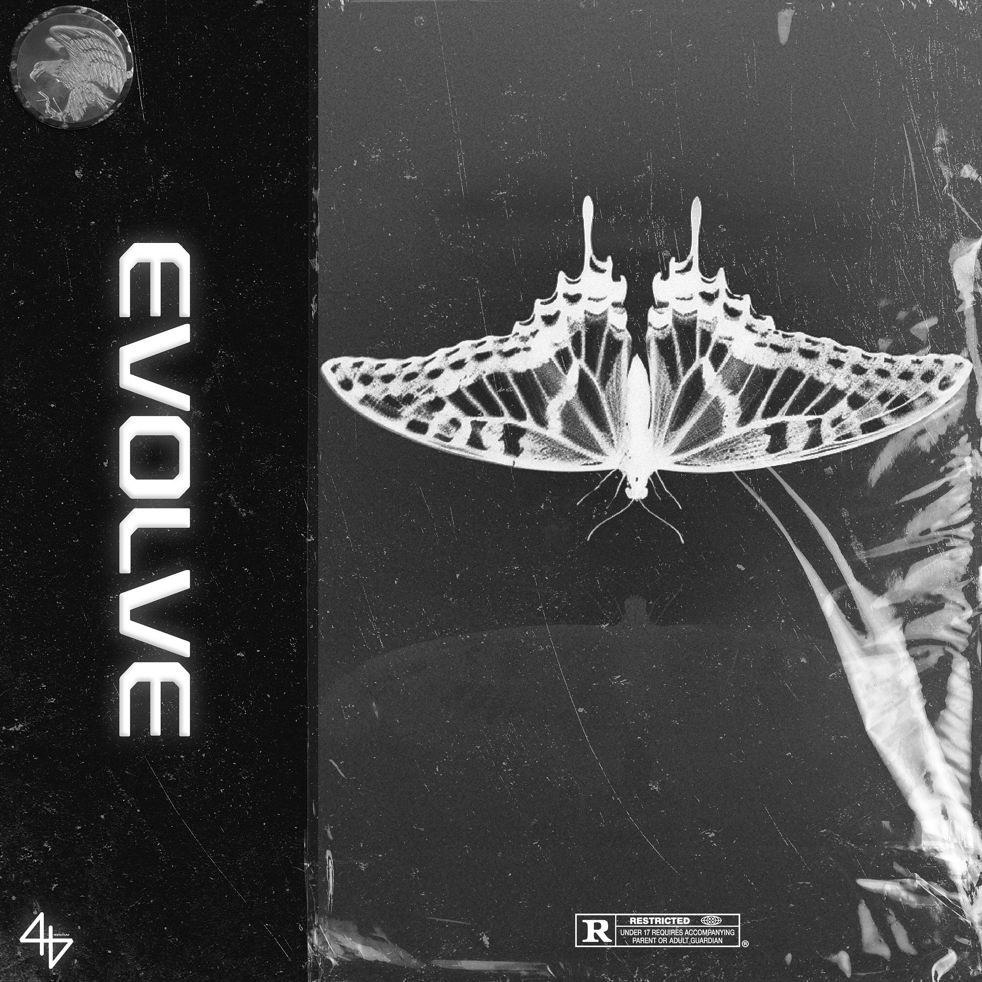 Cover Art Template product image (2)