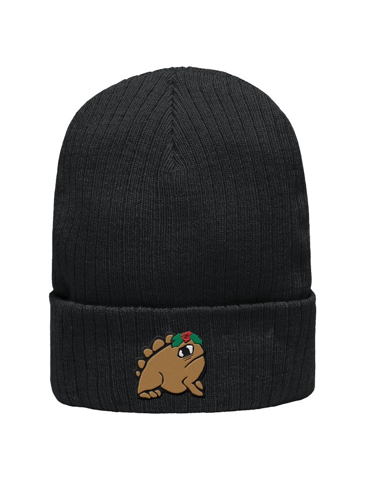 Holly Ribbits Ribbed Beanie product image (1)