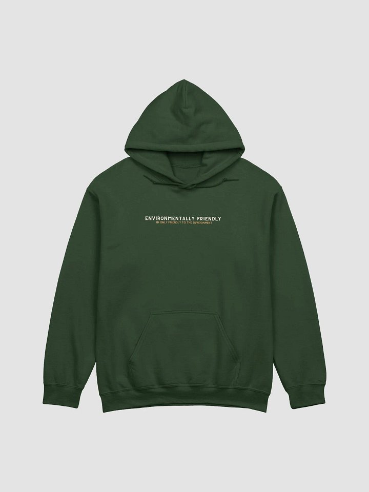 Eco-Friendly Hoodie product image (25)