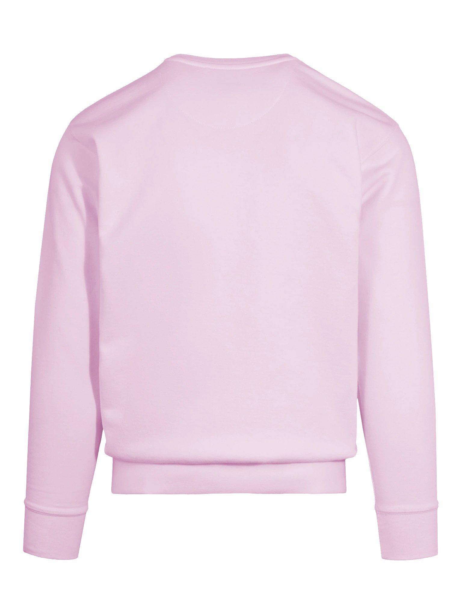 fancy mantis crewneck product image (25)