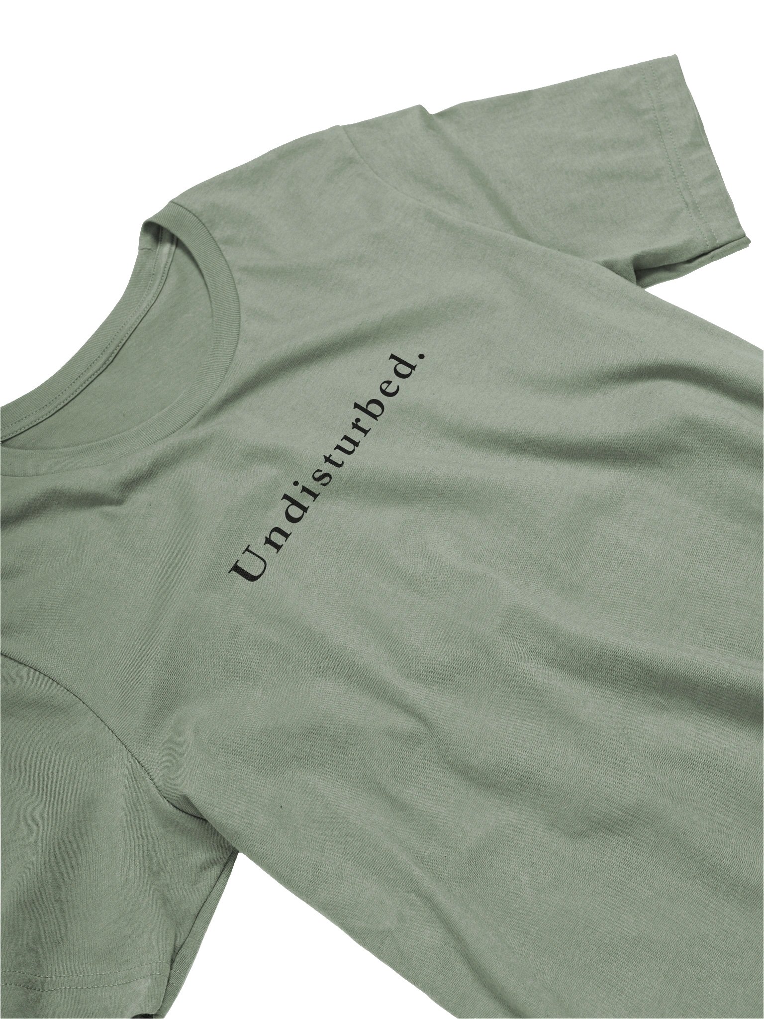 The Undisturbed. Signature Tee product image (24)