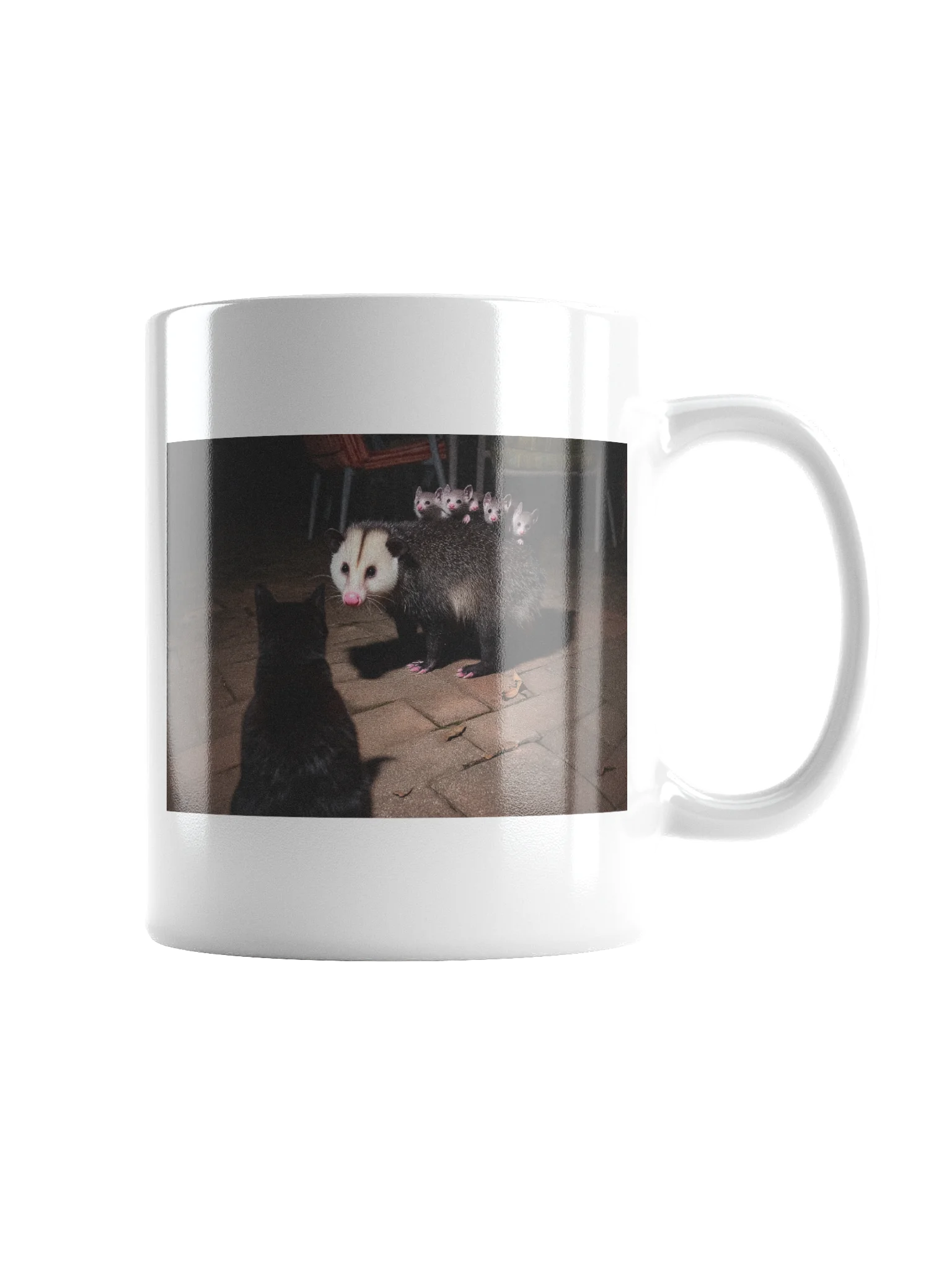 Cat meets opossum family Cup product image (1)