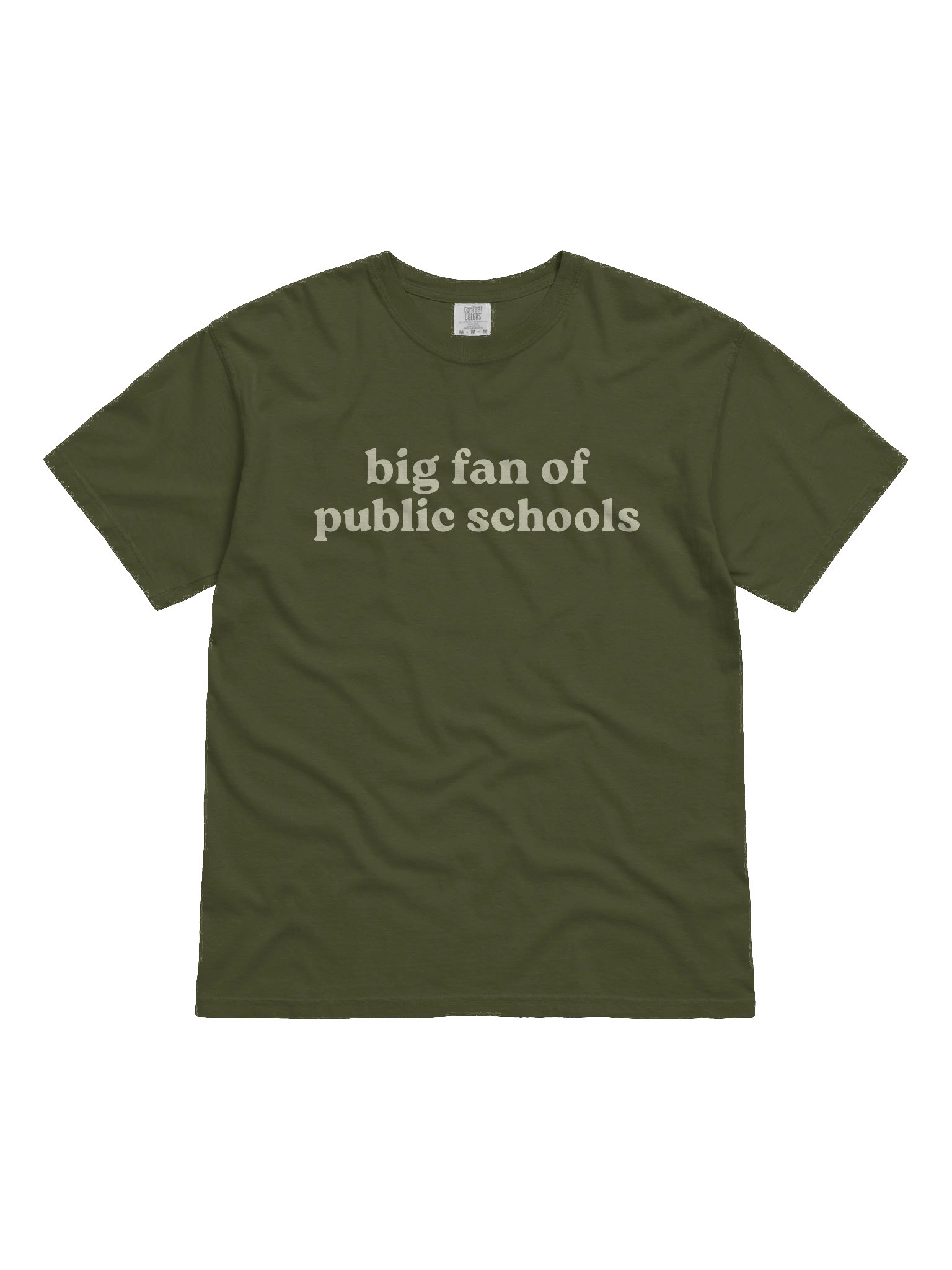 Big Fan of Public Schools Tee product image (1)