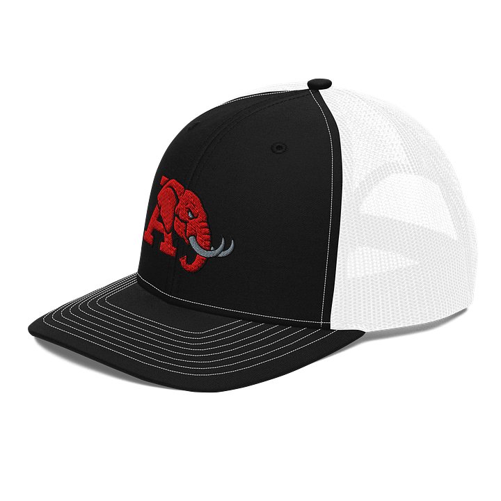 Red Elephant Snapback Trucker Hat product image (14)