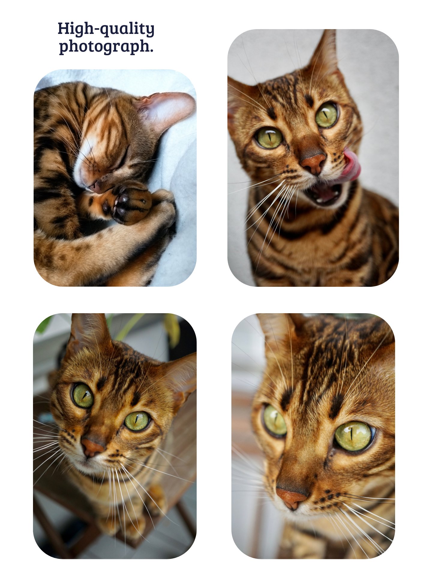 YOUR BEST FRIEND! / PRINTED T-SHIRT product image (5)