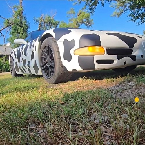 Today is Cow Day at @cfa.hutchinson Dress like a cow and get a free entree! 

Cow Vette is attending all day long! Be sure to...