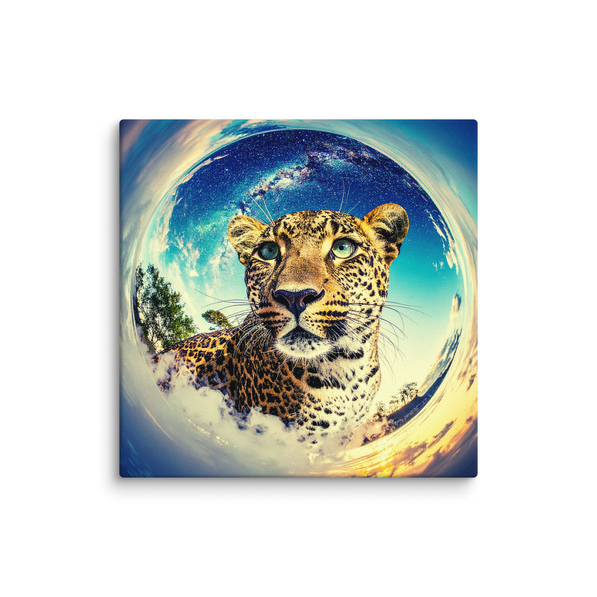 Cosmos product image (1)