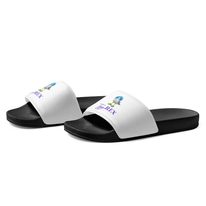 Hot Gull Summer Men's Slides product image (2)