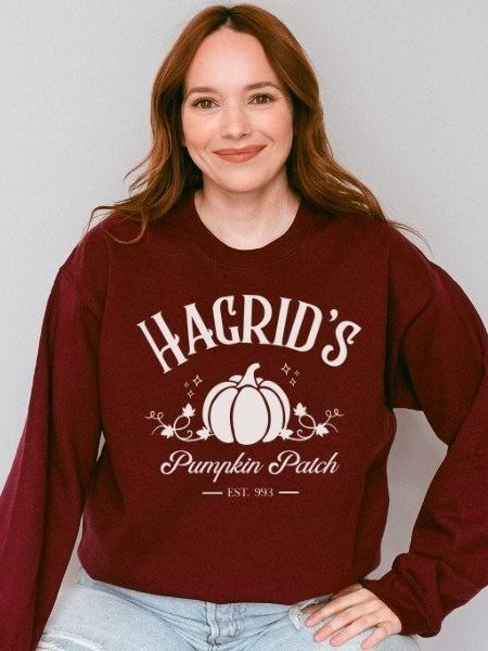Magical Pumpkin Patch Minimalist Cozy Sweatshirt for Halloween product image (5)