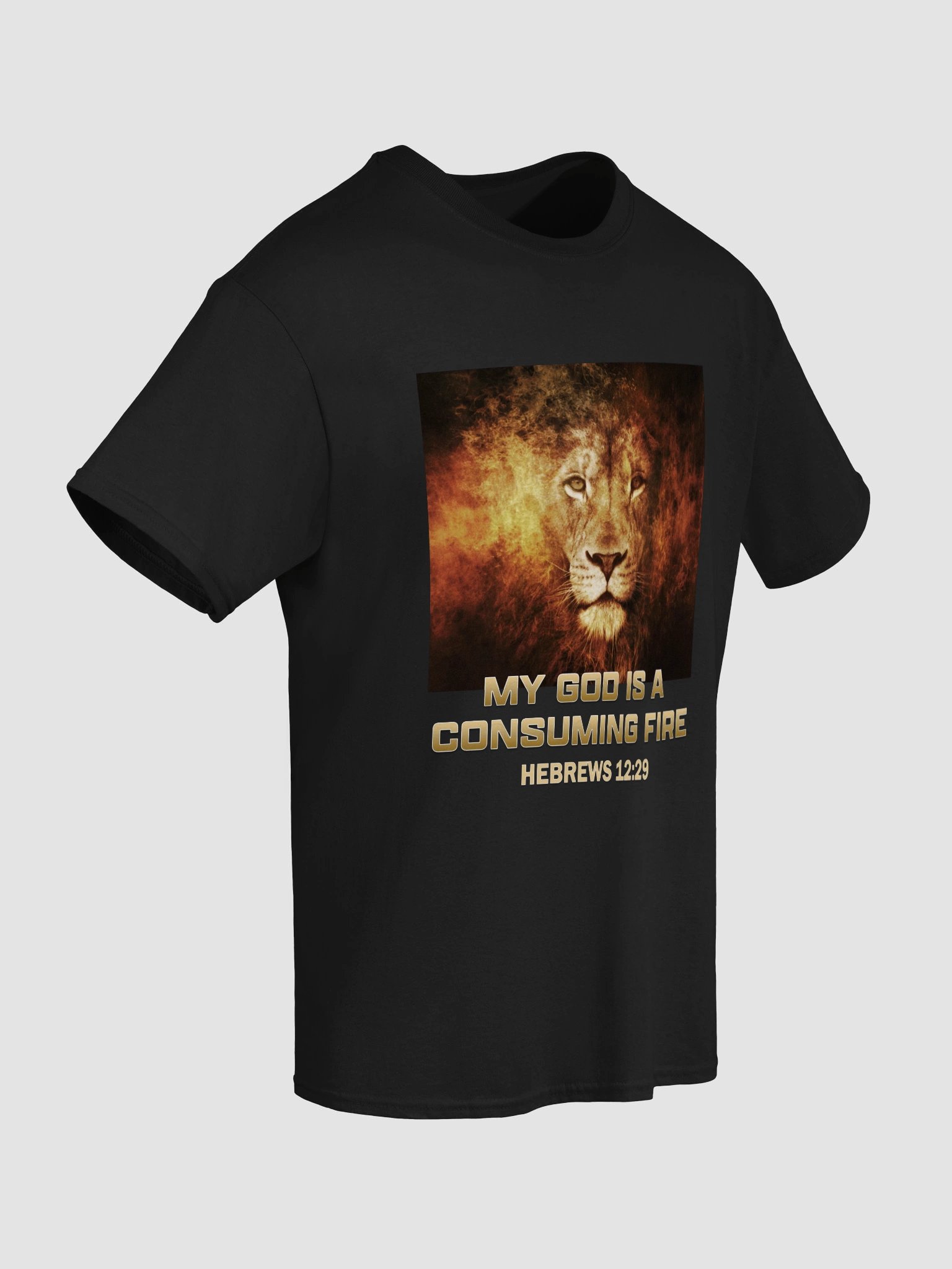 My God Is A Consuming Fire T-Shirt product image (5)