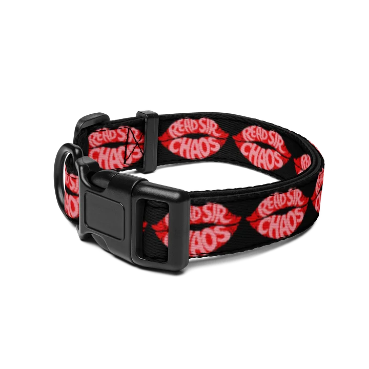Read My Lips Pet Collar product image (2)