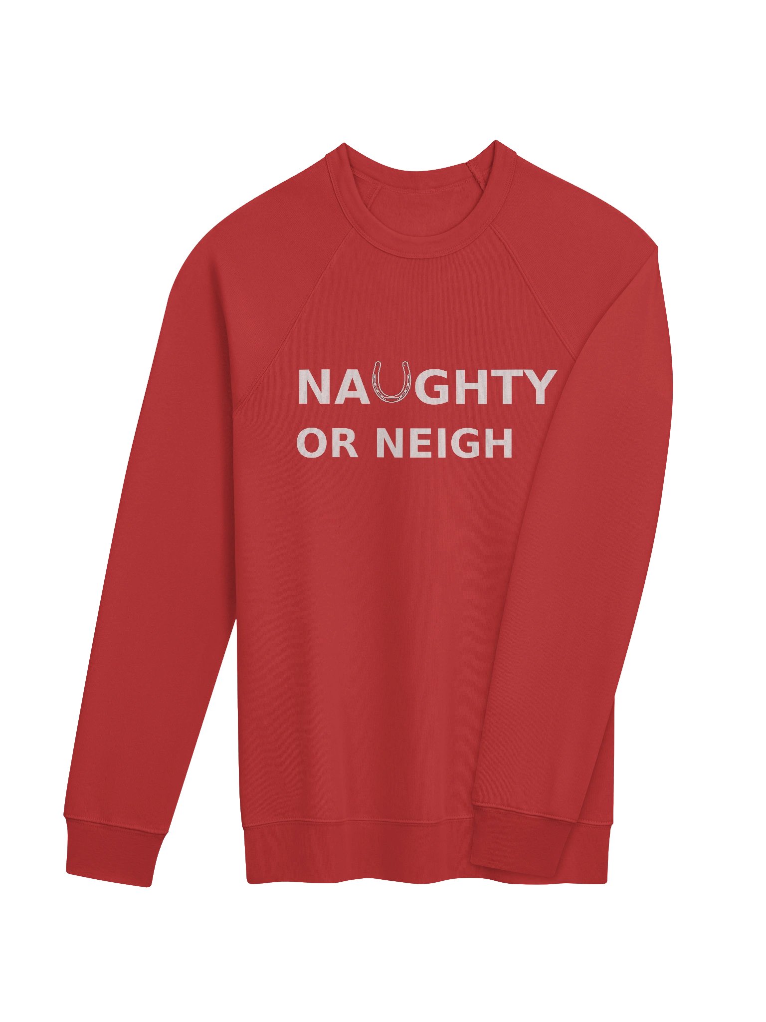 The Naughty or Neigh Sweatshirt (wholesale) product image (4)
