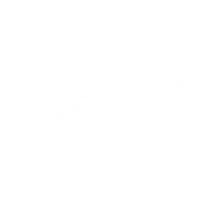 Allstar Squad Merch Store