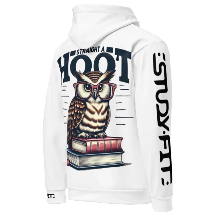 Straight A Hoot - Recycled Hoodie product image (1)