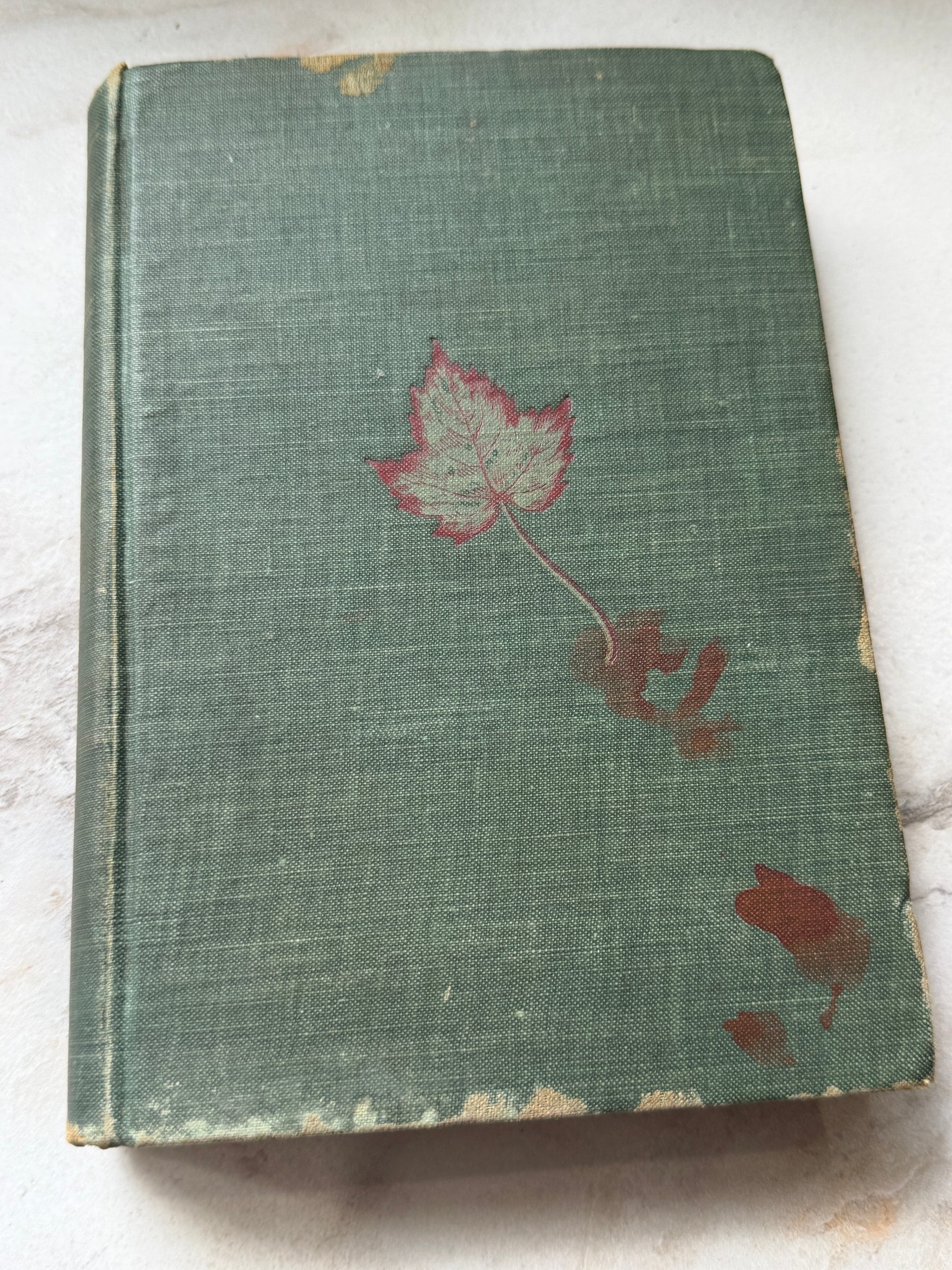 c. 1910’s Century | The Moonstone | Wilkie Collins | Antique Illustrated Hardcover product image (2)