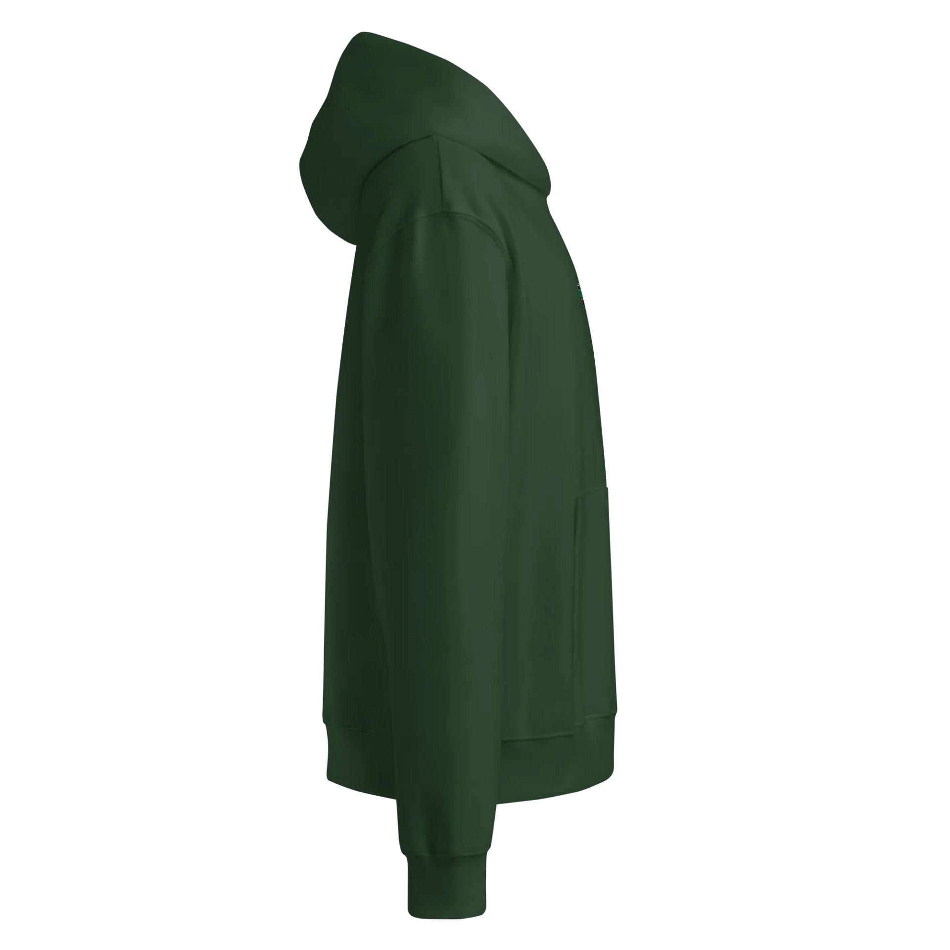Bear (NWR) Embroidered Hoodie product image (11)
