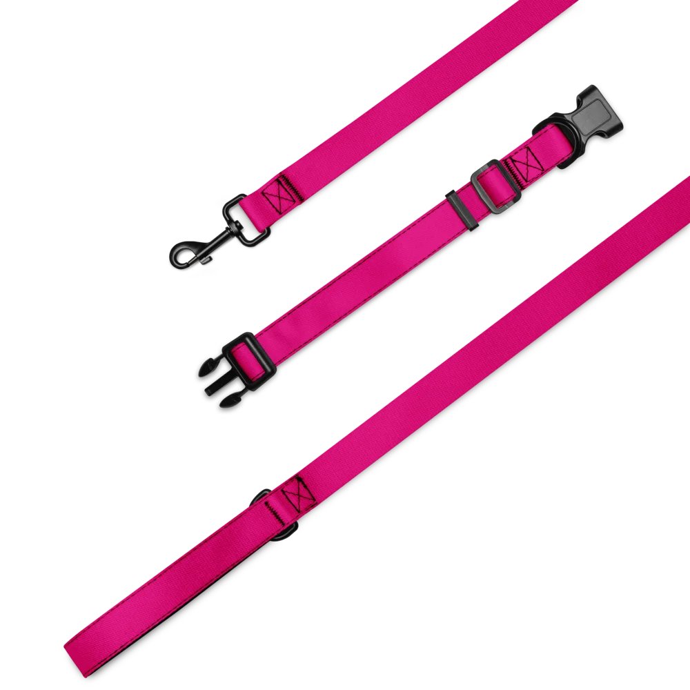 Lucky Dog Pink Pet Collar & Leash Set 03 product image (1)