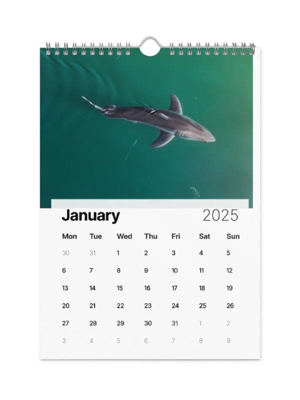 The Malibu Artist 2025 Calendar product image (2)