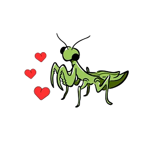 big bug girl