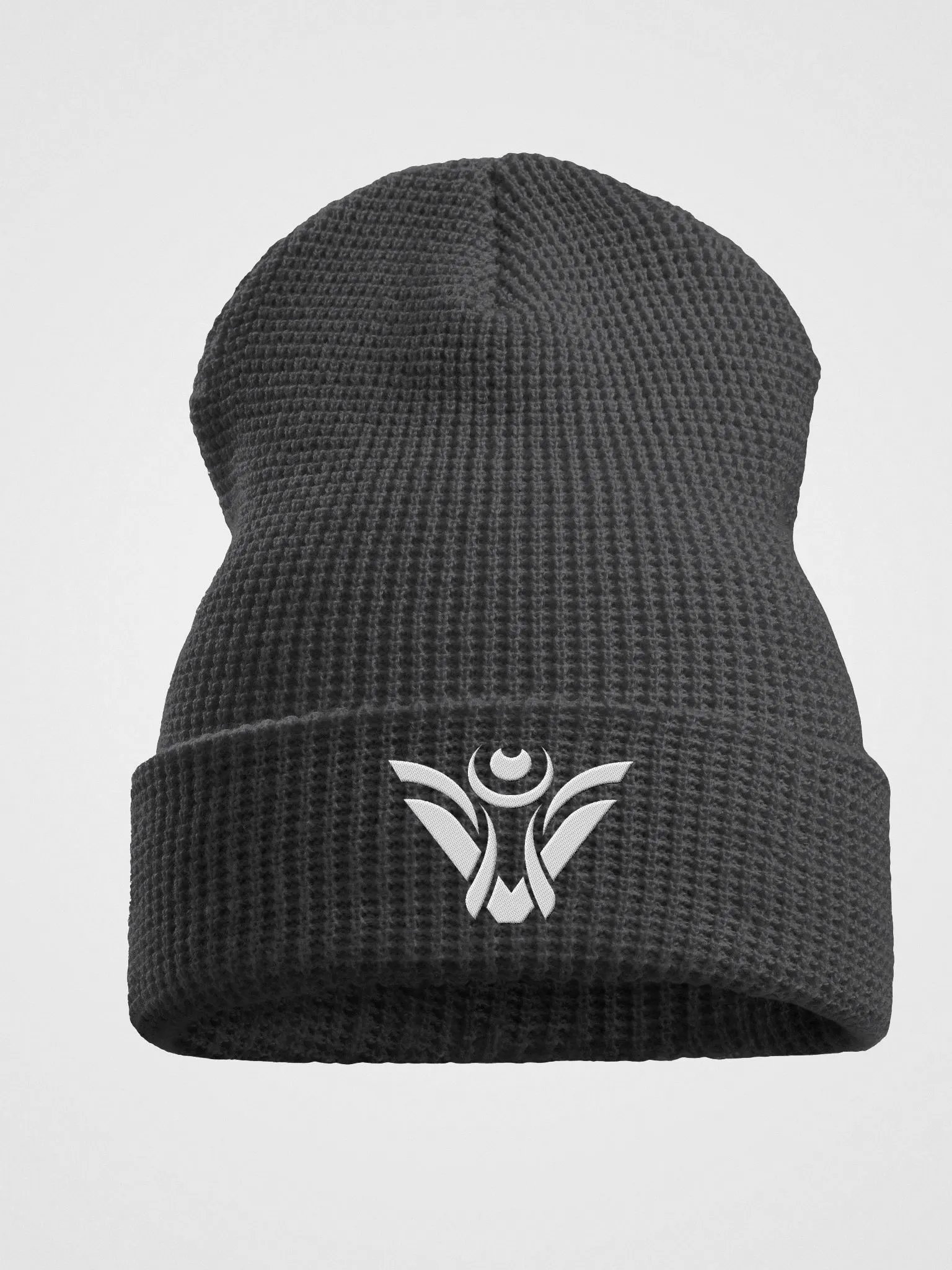 Visionary Beanie product image (1)