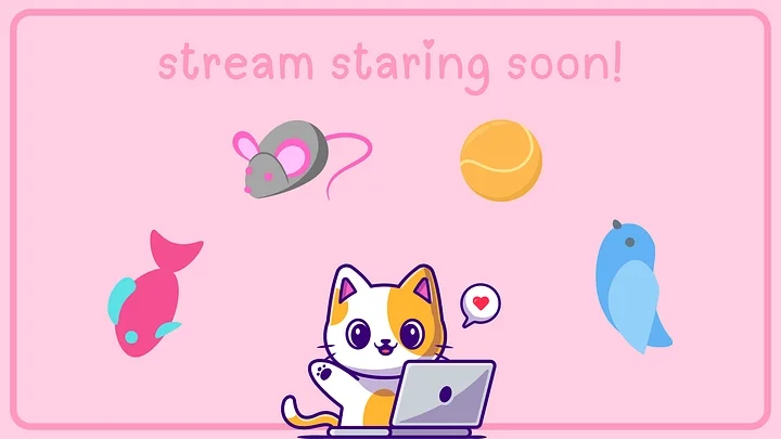 Cat Animated Starting Soon scene product image (1)