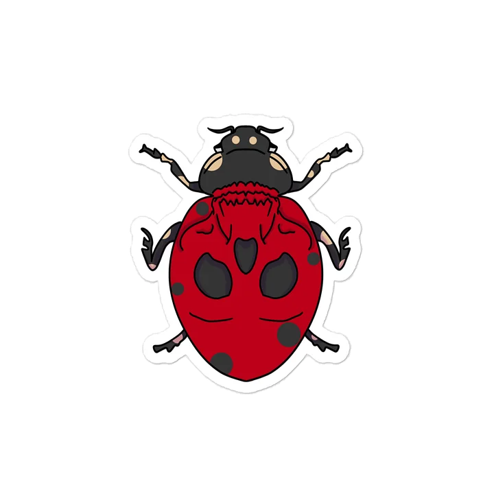 Lucky Bug! product image (2)
