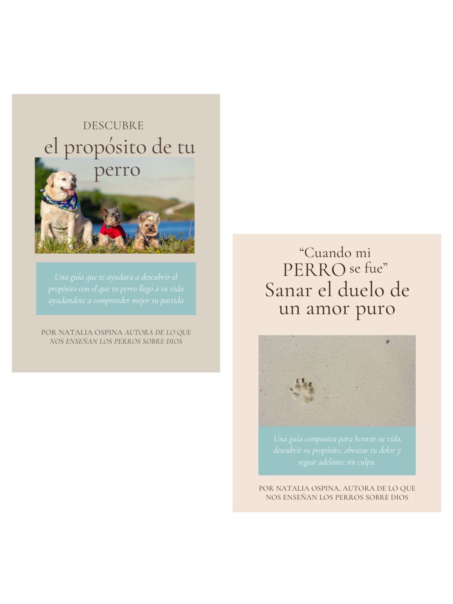 Pack Camino Completo: Del Duelo a la Sanidad y Proposito product image (1)