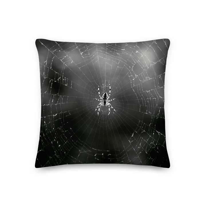 Premium pillow - Spider in the web, monochrome product image (2)