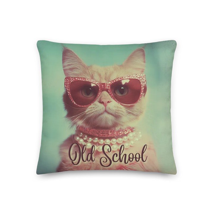 Old School Sass: Decorative Pillow product image (1)
