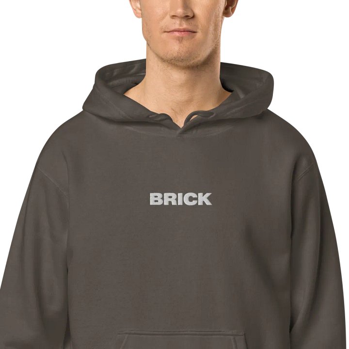 BRICK Embroidered Hoodie product image (2)