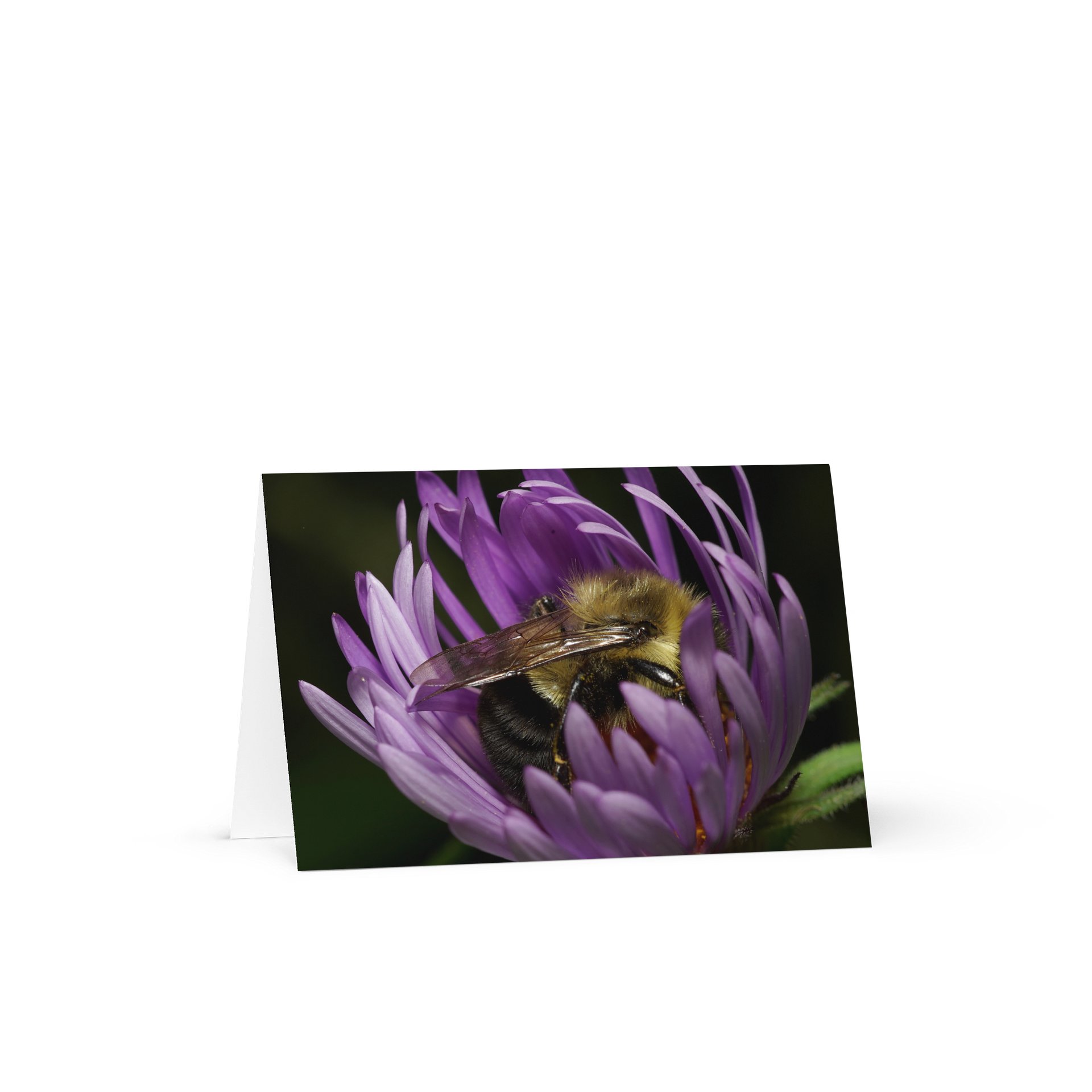 "Flower Power Nap" (Blank Card) product image (1)