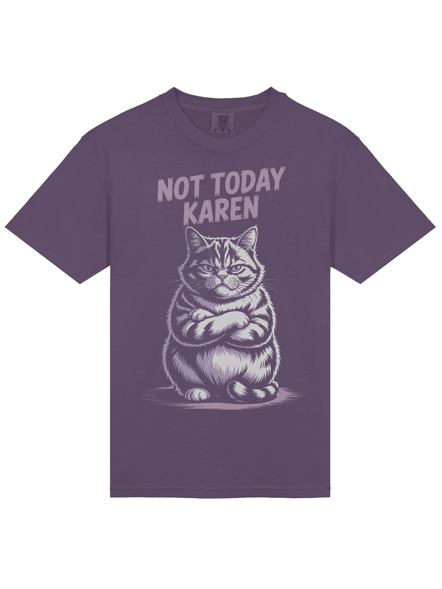 Grumpy Cat 'Not Today Karen' T-Shirt product image (3)