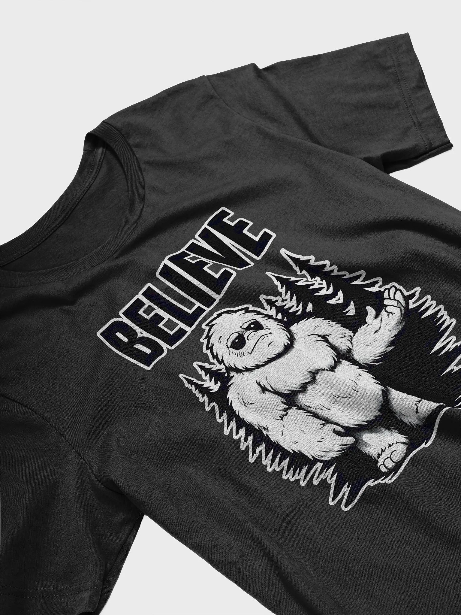 BELIEVE product image (2)